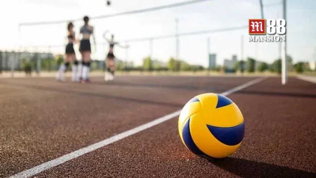 cá cược bóng chuyền